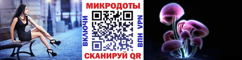 Галлюциногенные грибы GOLDEN TEACHER  где купить наркотик  Староминская 