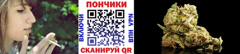 Марихуана планчик Староминская